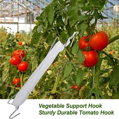 Tomato Holder Hooks Greenhouse Plant With Wire Cucumber Cherry ...
