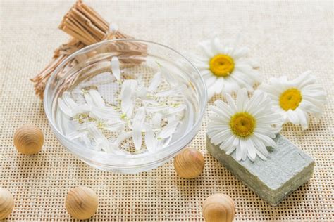 Chamomile For Mosquito Bites: 6 Soothing Remedies To Ease Itch And ...