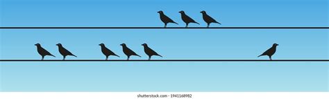 Image result for Bird Training Discrimination Task