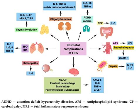 Systemic Inflammatory Response Syndrome, Thromboinflammation and Septic ...