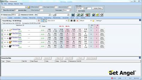Bet Angel Tutorials 的图像结果