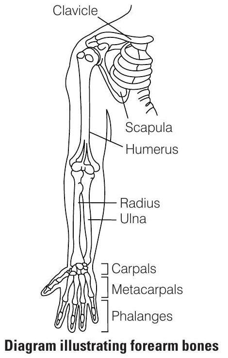 SATHEE: Chapter 20 Locomotion and Movement