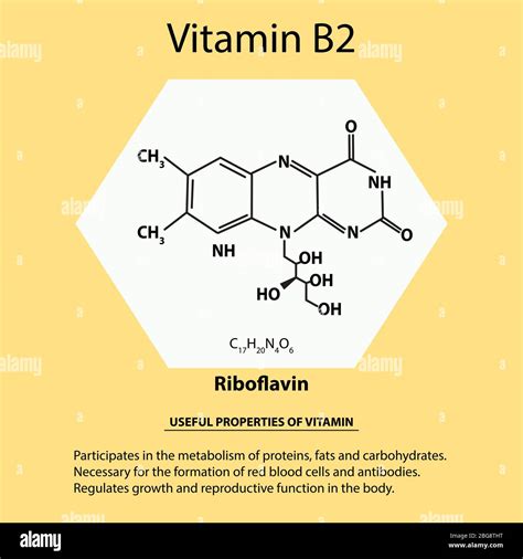 Vitamin B2. Riboflavin Molecular chemical formula. Useful properties of vitamin. Infographics ...