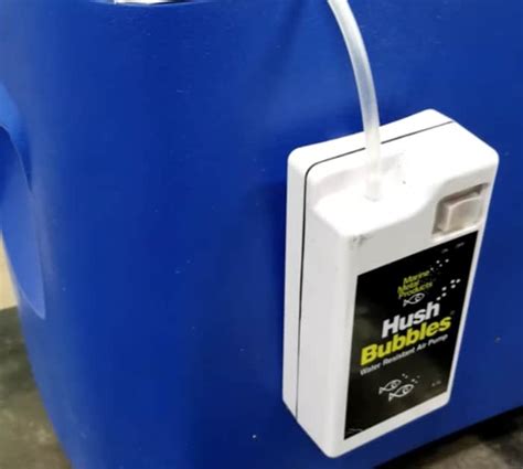 Boat PVC Projects 的图像结果