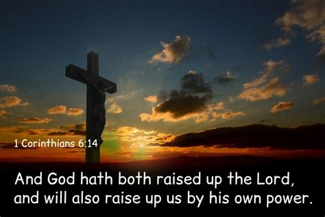 Image result for Jesus Resurrection Scripture