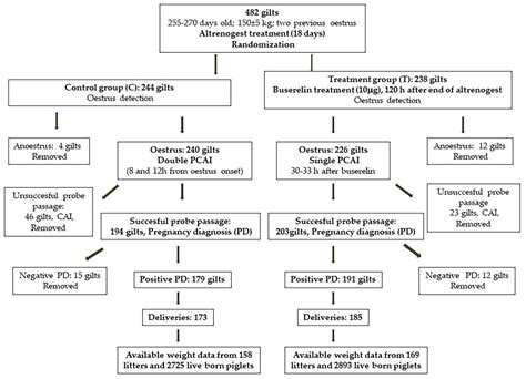 Single Fixed-Time Post-Cervical Insemination in Gilts with Buserelin