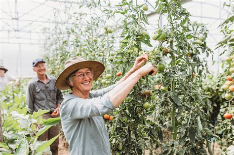 Organic Meat Farms 的图像结果