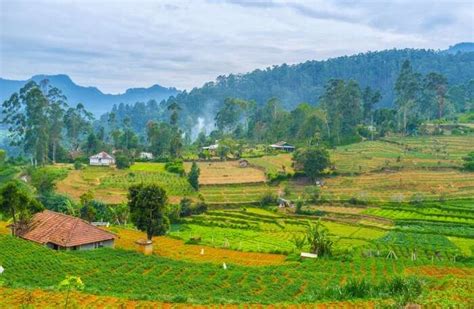 20 Romantic Honeymoon Places In Sri Lanka In 2026!