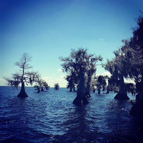 MIDDLETON'S FISH CAMP (2025) All You Need to Know BEFORE You Go (with ...