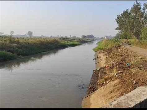 Near Sisodara village of Ankleshwar, a herd of boars came on the road ...