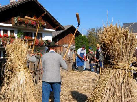 Farmers Festival 2025, Philippines - Venue, Date & Photos