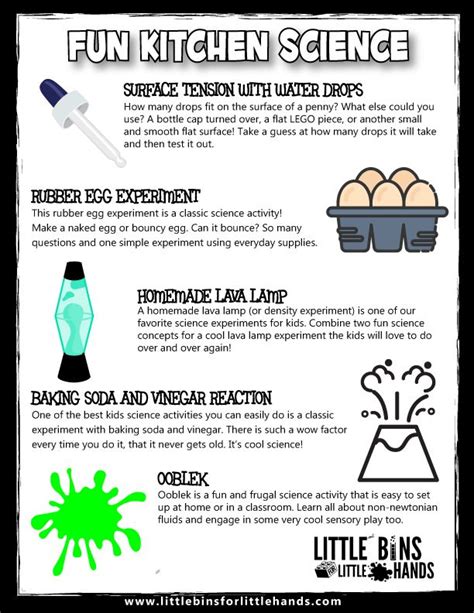 Image result for Science Projects Experiments