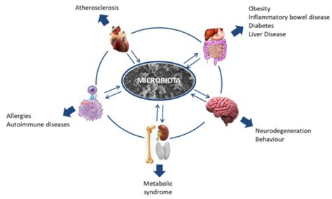 The Impact of Diet on Microbiota Evolution and Human Health. Is Diet an ...