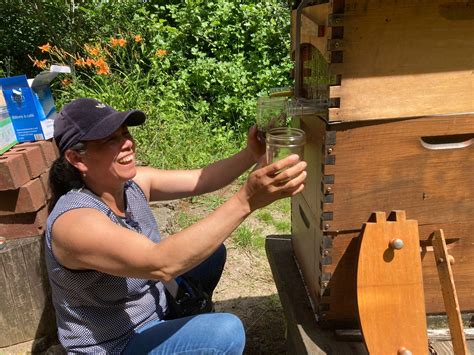Master Beekeeper program adds groundbreaking Spanish-language track as ...