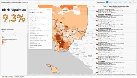 LA County Maps Disparity Data to Support Equity Initiatives