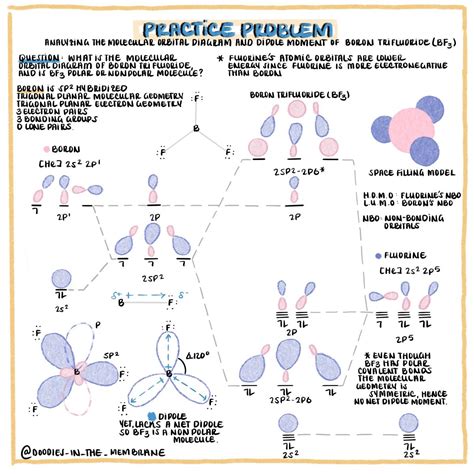 Molecular Orbital Diagram for Boron Trifluoride: General Chemistry ...