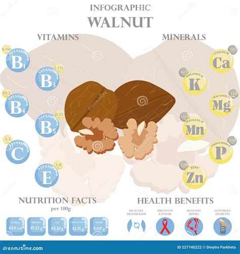 Health Benefits and Nutrition Facts of Walnut Infographic Vector Illustration Stock Vector ...