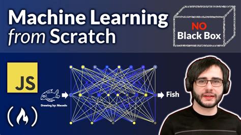 Machine Learning Freecodecamp Org 的图像结果