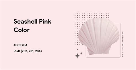Image result for Shell Pink Color