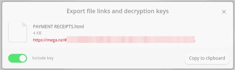 Decryption Key for Mega 的图像结果
