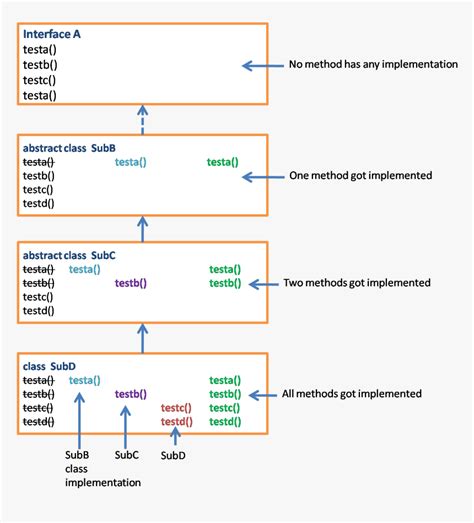 Image result for Java Programming Transparent Picture