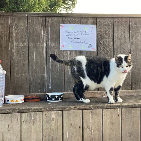 ST MARY'S CHURCH TEYNHAM (2026) All You Need to Know BEFORE You Go ...