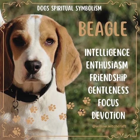 Dogs spiritual symbolism – Artofit
