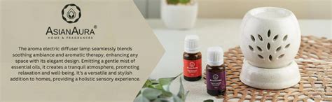 Asian Aura Handcrafted Ceramic Electric Round Shaped Aroma Diffuser ...