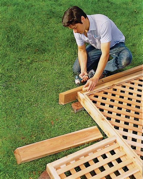 Image result for How to Build a Trellis