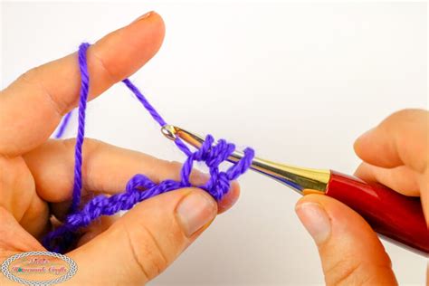 Bean Stitch Tutorial 的图像结果