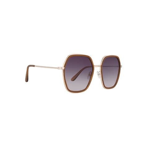 Germany | Brown Wine Oversize Sunglass – ZAADRAN