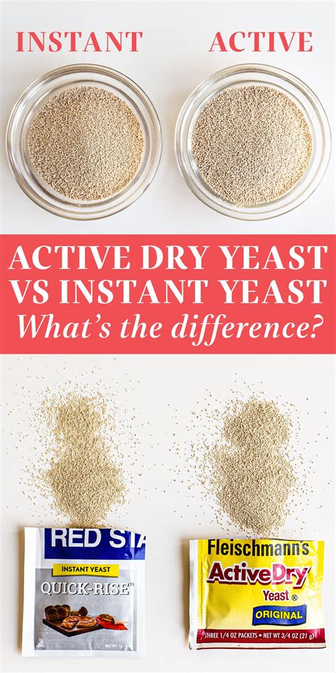 Baking Powder Vs Dry Yeast , Baker’s yeast Vs Yeast extract – OHYDHC