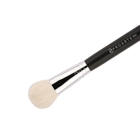 Buy Side Sweep Blush & Contour Brush Online at Best Prices | Proarte World