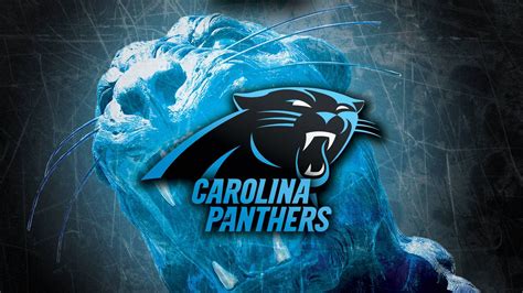 Top 999+ Carolina Panthers Wallpaper Full HD, 4K Free to Use