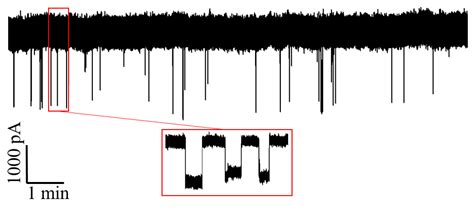 Noise Reduction Method of Nanopore Based on Wavelet and Kalman Filter