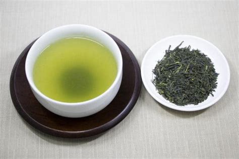Everything You Need To Know About Japanese Green Tea