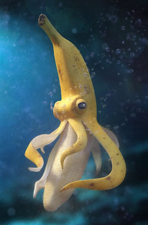 ArtStation - Banan'Octopus