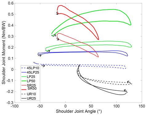 Pulling Exercises for Strength Training and Rehabilitation: Movements ...