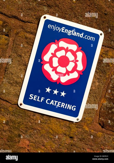 Performance Grading Logo 的图像结果