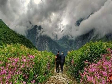 Valley of Flowers Uttarakhand - A Travel Guide