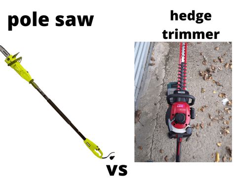 How To Use A Pole Saw: 7 Easy Steps