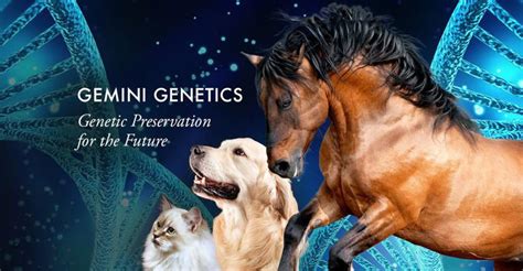 Inside the UK clinic cloning pets - if you have a spare £59,000