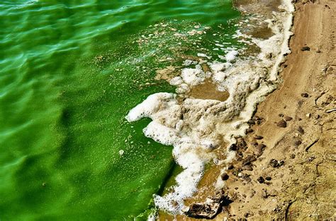 Study Links Southern Africa Drought to Unusual Madagascar Phytoplankton ...