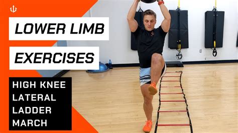 Image result for Contralateral March Exercise