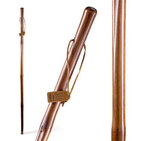 Brazos Free Form Iron Bamboo Walking Stick