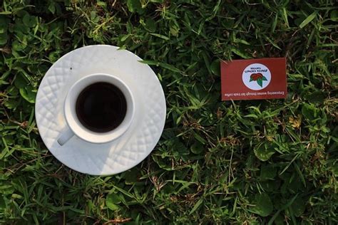 KYAFFEEQUATORCENTER (2026) All You Need to Know BEFORE You Go (with ...