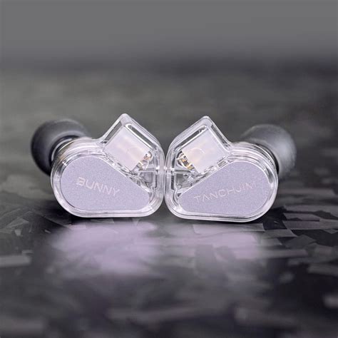 TANCHJIM Bunny Type-C DSP Plug with Mic IEM Earphones