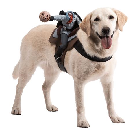 42 Halloween Dog Costume Ideas - InspirationSeek.com