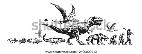 Life Evolution Chart 的图像结果