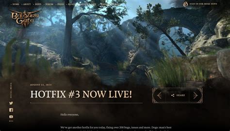 Image result for Bg3 Data File Image